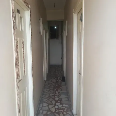 Kutlu *